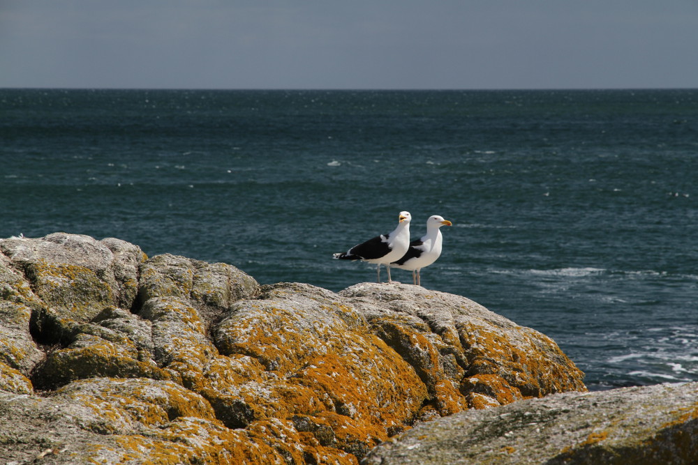 Dalkey Island